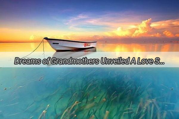 Dreams of Grandmothers Unveiled A Love Story Guided by Spirit